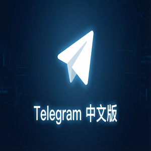纸飞机中文版下载速度慢？这几个方法让你秒下（深度解析） - Telegram 官网